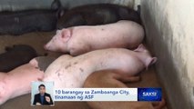 10 barangay sa Zamboanga City, tinamaan ng ASF | Saksi