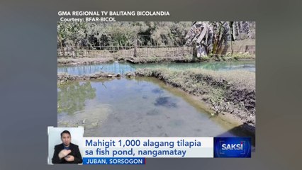 Ashfall mula sa pagputok ng Mt. Bulusan, umabot sa ilang bahagi ng Albay | Saksi