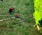 Bursa'da site bahçesinde 1.5 metre boyunda yılan yakalandı
