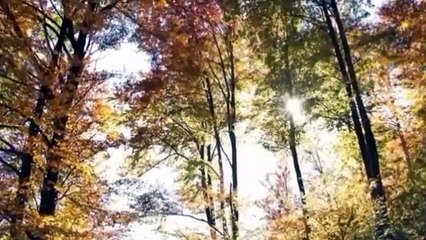 Background Pemandangan Alam#2022