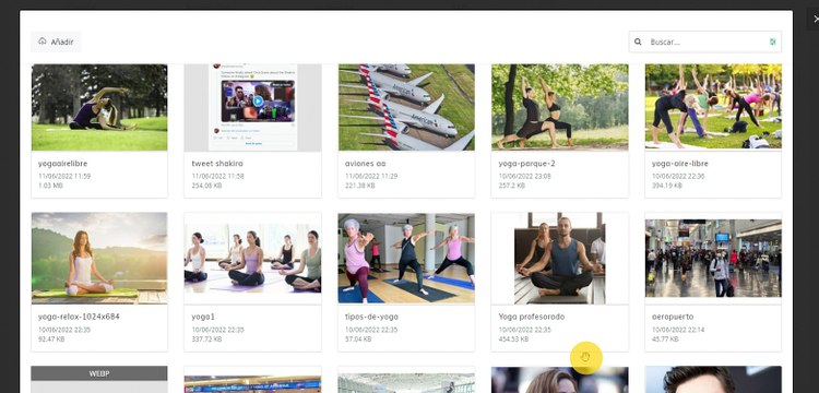 Como cargar un artículo en Mexico Show