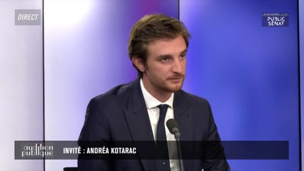 Un groupe à l’Assemblée démontrerait « la progression du RN dans le pays » selon Andréa Kotarac (RN)