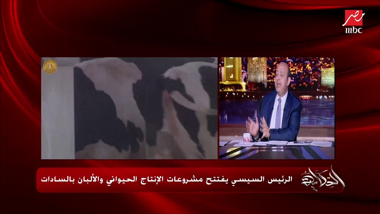 عمرو أديب: الدولة بتتبع سياسة شكرا على السمكة ل...