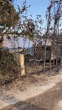 Gard : 60 bungalows et 150 hectares brûlés dans un violent incendie