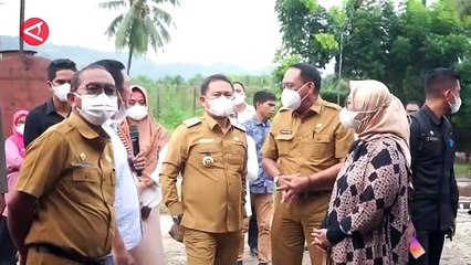 Gorontalo dorong produksi jagung tingkatkan ekonomi masyarakat - ANTARA News