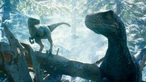 ‘Jurassic World Dominion’ Dominates The Box Office, Making $143.4M In Its Opening Weekend | THR News