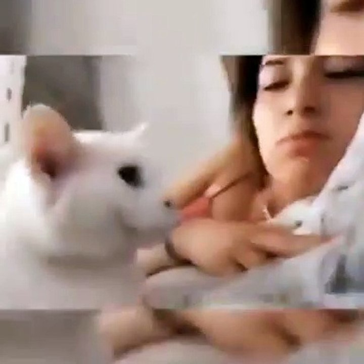 Kok bisa niruin suara emaknya ya