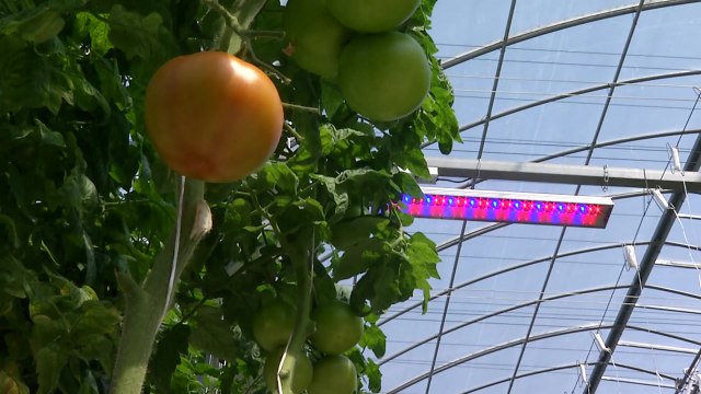 '탄소 중립 도시' 해남 신청사 개청... 새로운 100년 출발 / YTN