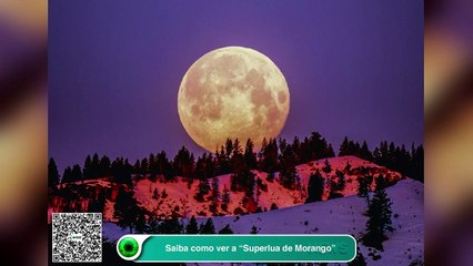 Superlua de Morango: entenda a origem do nome e saiba como observar
