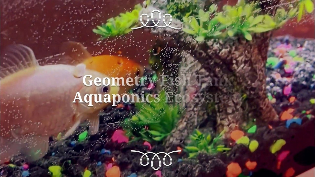 АКВАРИУМ XIAOMI - GEOMETRY FISH TANK AQUAPONICS ECOSYSTEM  ELATTAN