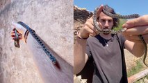 Compassionate adventurer visits an abandoned well to rescue a snake