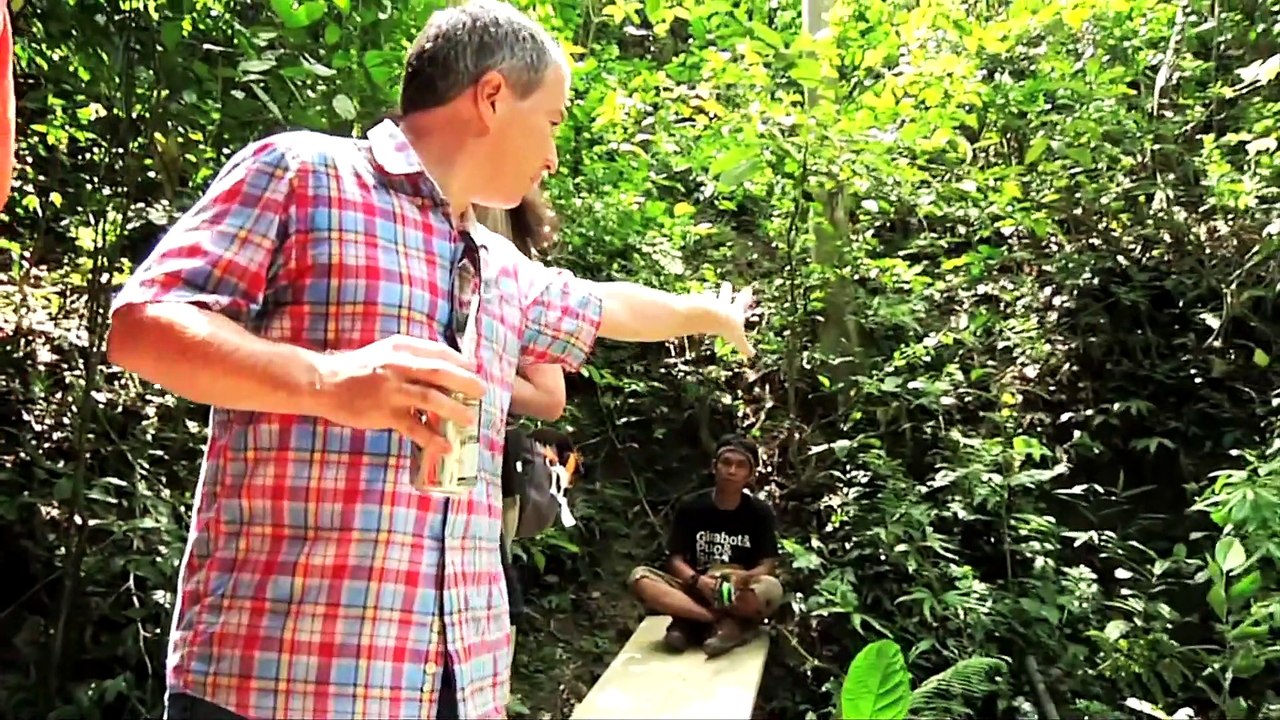 Deep Gold BTS Jungle_1080p