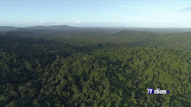 7dias-Érase una vez un potrero-130622