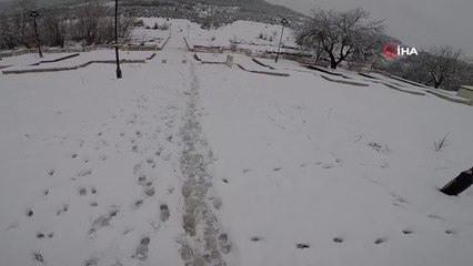 Balıkçıl kuşun imdadına ekipler yetişti