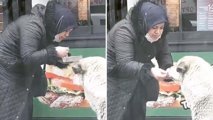 Sokaktan geçenler fark etti! Kadının, yanındaki köpek için sergilediği hareket viral oldu