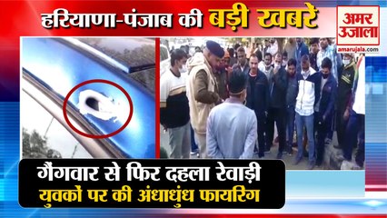 下载视频: Miscreants Fired 8 Rounds Gang War In Rewari Of Haryana|रेवाड़ी में गैंगवार समेत हरियाणा की खबरें