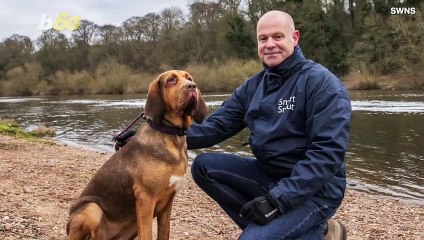 This App Can Locate You Dog if It’s Lost or Stolen By Its ‘Nose-Print’