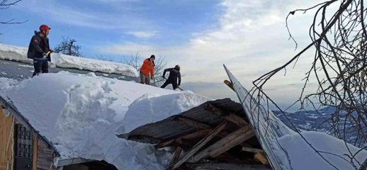 Descargar video: Karın ağırlığına dayanamayan ahırın çatısı çöktü, ekipler hayvanlar için seferber oldu