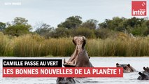 Les bonnes nouvelles de la planète