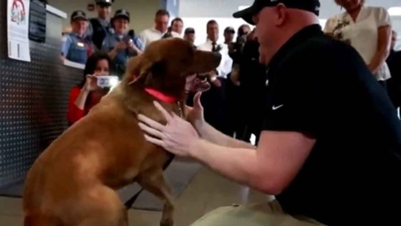 Dieser Soldat und sein Hund haben sich seit Jahren nicht gesehen. Ihr Wiedersehen ist rührend.