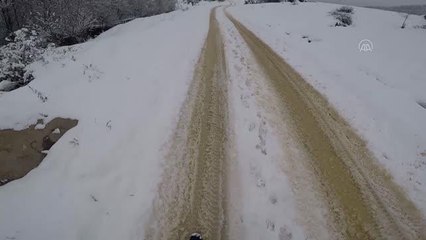Yaralı bulunan gri balıkçıl tedaviye alındı