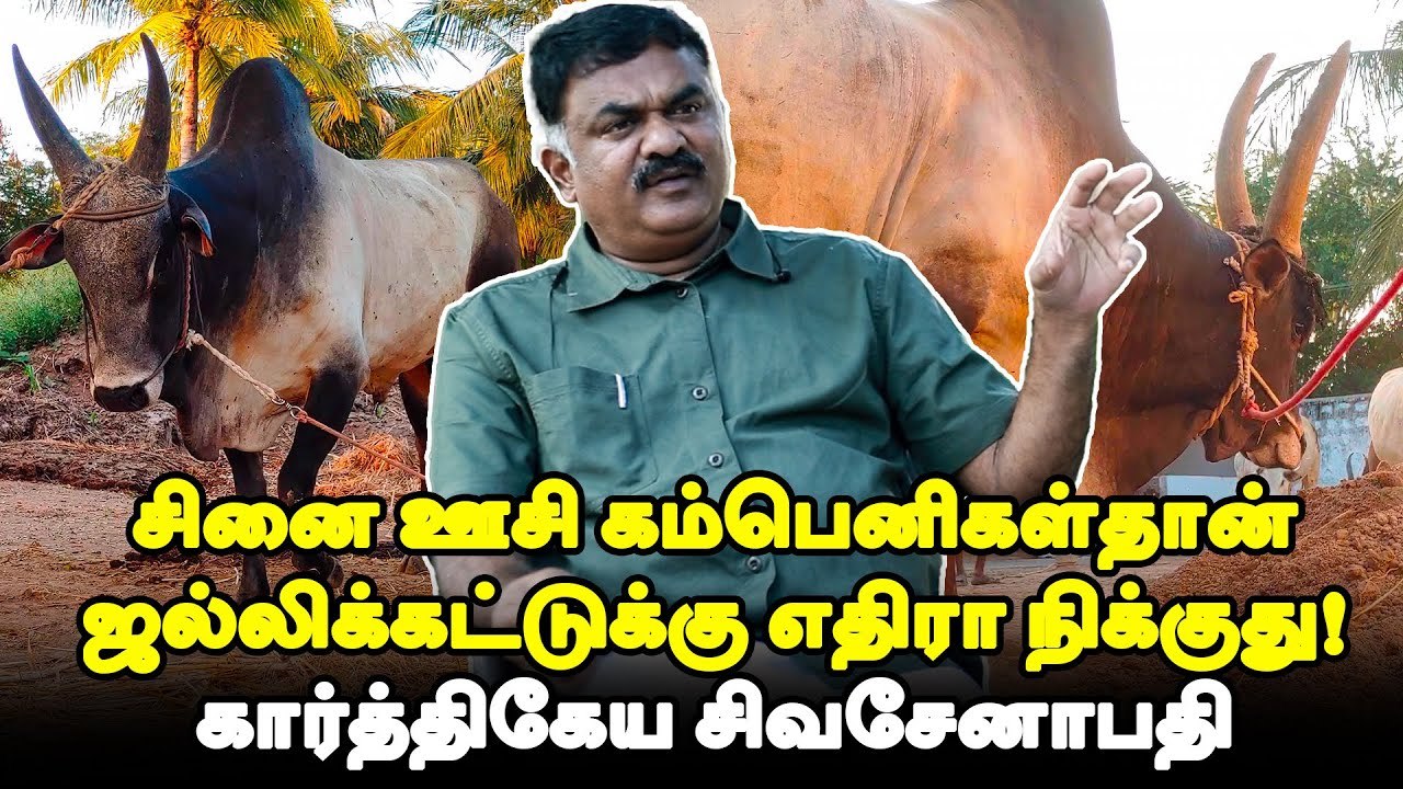 இந்தியா நாடாக உருவாகறதுக்கு முன்னாடியே ஜல்லிக்கட்டு இருந்தது! - கார்த்திகேய சிவசேனாபதி _