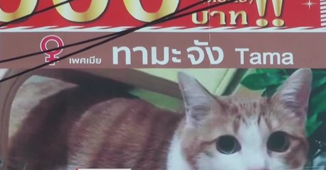 9 ข่าวเที่ยง ช่วงที่ 1 วันศุกร์ที่ 21 มกราคม 2565