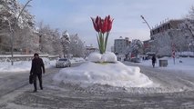 Kar yağışı nedeniyle kent merkezi beyaza büründü