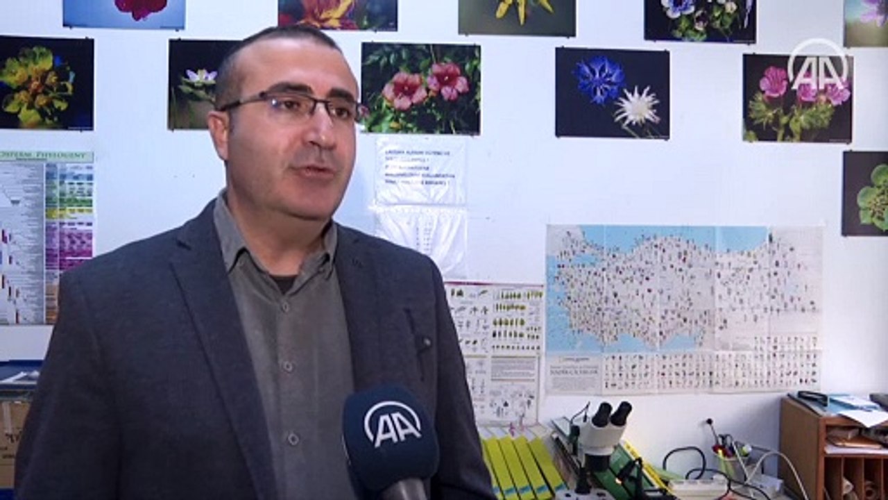 Keşfedilen yeni bitki türü bilim dünyasına kazandırıldı