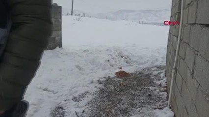 POLİSLER SOKAK HAYVANLARINA MAMA BIRAKTI