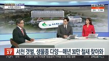 [뉴스메이커] 서천 갯벌, 유네스코 세계자연유산 등재 준비 11년 만에 성과