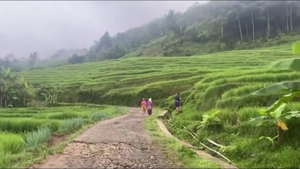 This is the most beautiful rural atmosphere in West Java today. Natural View of Tasikmalaya Edyan. (Inilah Suasana Pedesaan Terindah Di Jawa Barat Saat Ini. Pemandangan Alam Tasikmalaya Edyan)