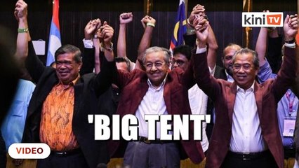 Mat Sabu: Harapan should use 'big tent' again