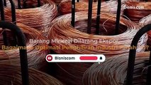 Barang Mineral Dilarang Ekspor, Bagaimana Optimasi Penghiliran Industri Tanah Air?