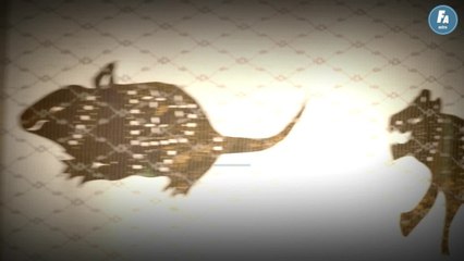 FEMME ACTUELLE - Horoscope chinois du jour du mardi 25 janvier 2022, le Tigre de Terre