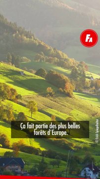 FEMME ACTUELLE - 4 adresses bien-être en Allemagne