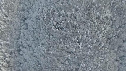 Batı Karadeniz'de kar manzarası havadan görüntülendi