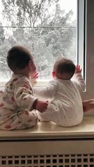 Μπόμπα-Τανιμανίδης: Η επική φωτό με τις δίδυμες να απολαμβάνουν το χιόνι! Ο «λαχταριστός» διάλογος