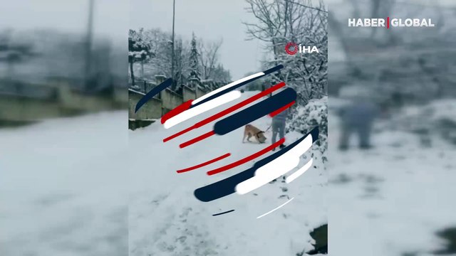 Bursa'da yokuşta kayarken 4 metre havalanan genç ağaca böyle çarptı