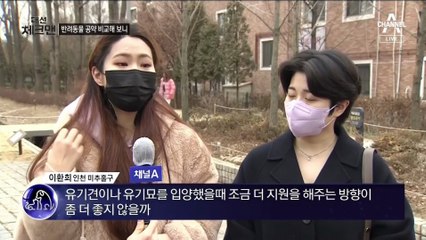[대선 체크맨]‘펫심 잡기’ 나선 李-尹…입양센터 vs 치료비 줄이기