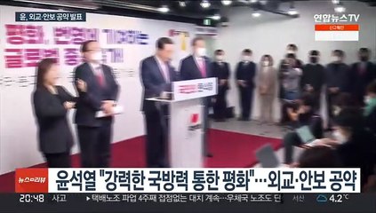 윤석열 "힘을 통한 평화 구축…남북정상회담은 쇼"