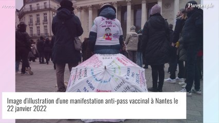 "Violences intolérables" : Tollé après l'agression d'un député par des manifestants anti-pass