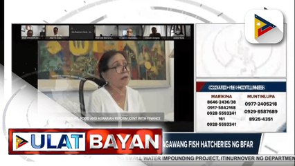 Sen. Villar, ikinagalit ang ‘di pa nagagawang fish hatcheries ng BFAR