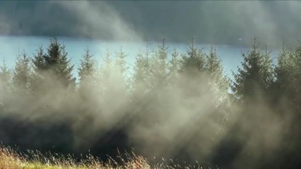 Millonarios comprometidos con el medio ambiente compran terreno verde en Escocia para protegerlo