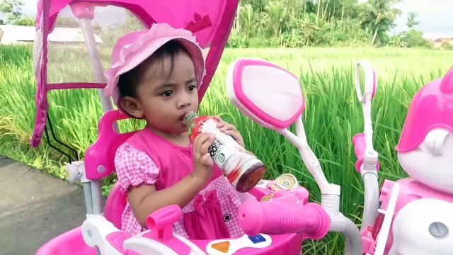 PUTRI Bermain sepeda menikmati pemandangan sawah di sore hari