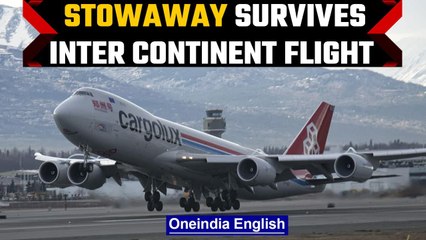 Stowaway survives flight from South Africa to Amsterdam in plane’s wheel | OneIndia News