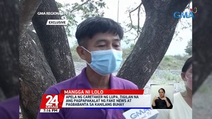 Paglilinaw ng caretaker ng lupa, hindi 10 kilo kundi 10 kaing ng mangga ang pinitas ng lolong kanilang inireklamo | 24 Oras