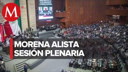Con titulares de Segob, SRE y CFE, arranca este lunes plenaria de Morena en San Lázaro