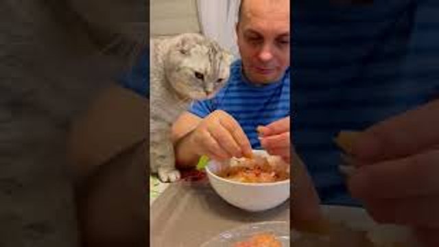 Cat Shares Cuddles for Shrimp