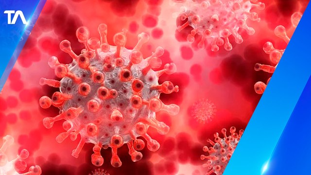 Casos de Covid-19 registran disminución en la tercera semana de enero